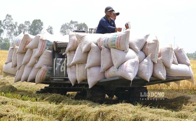 Bộ Nông nghiệp và Môi trường tiết kiệm hơn 5.000 tỉ đồng nhờ cải cách hành chính