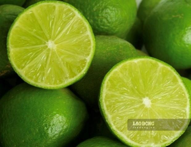 Mẹo pha nước chanh giúp hỗ trợ tăng chức năng gan mà không hại dạ dày