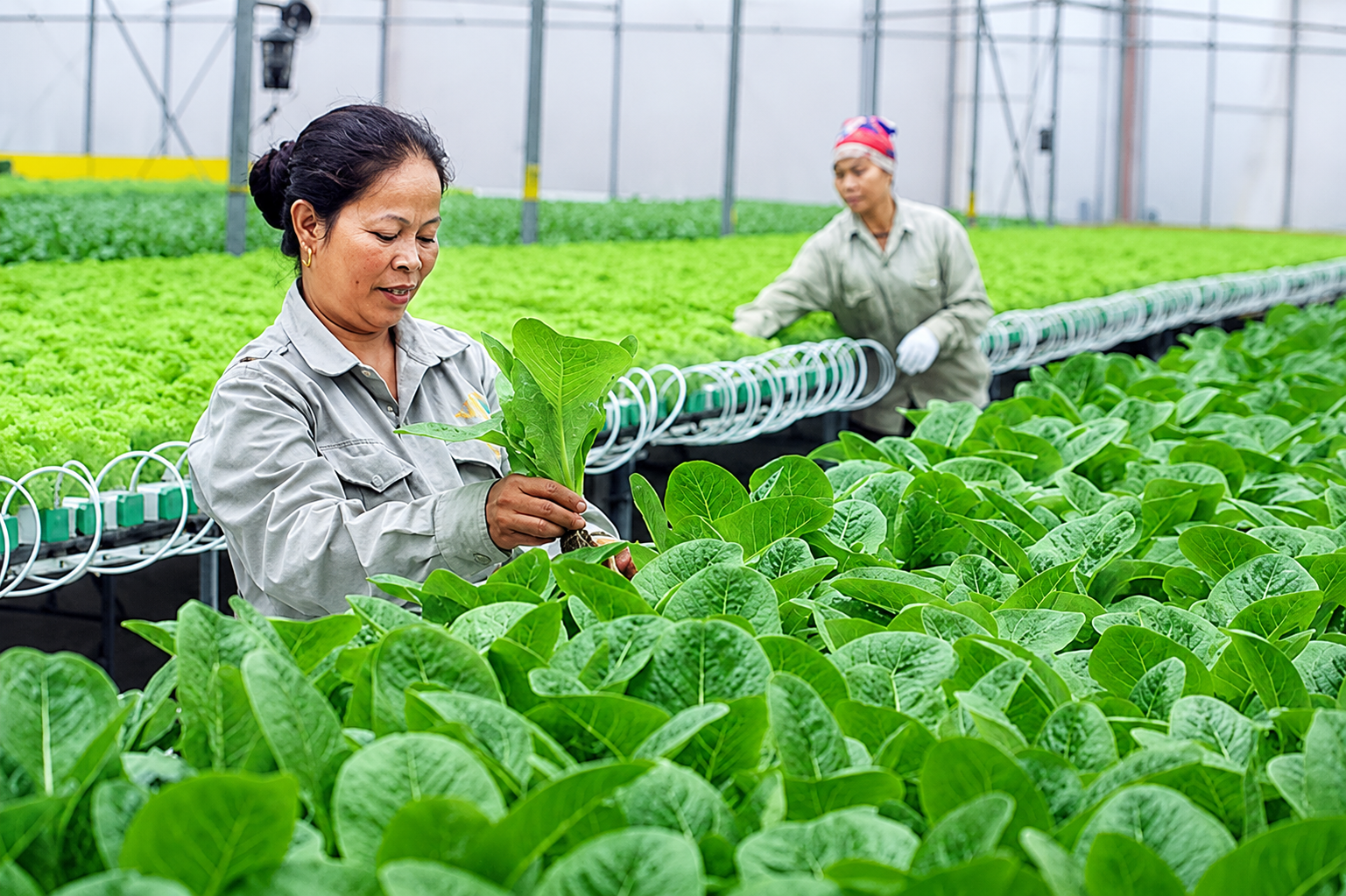 Bộ Tài chính đôn đốc triển khai Nghị định mới về tổ hợp tác