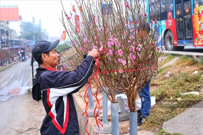 Đề xuất Tết Nguyên đán 2027 nghỉ 7 ngày nhận thêm ý kiến