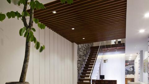 Trồng cây gì ở giếng trời để nhà xanh mát, giàu sinh khí?