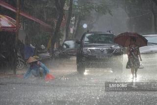 <a href="/moi-truong" title="Môi trường" rel="dofollow">Môi trường</a>