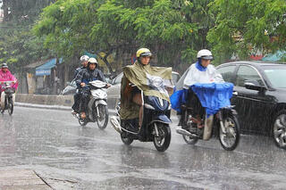 <a href="/moi-truong" title="Môi trường" rel="dofollow">Môi trường</a>