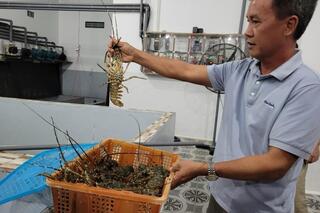 <a href="/tai-chinh" title="Tài chính" rel="dofollow">Tài chính</a>