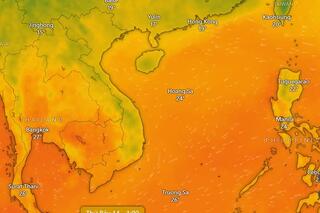 <a href="/moi-truong" title="Môi trường" rel="dofollow">Môi trường</a>