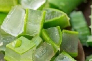 <a href="/y-te" title="Y tế" rel="dofollow">Y tế</a>