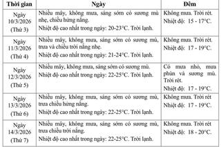 <a href="/moi-truong" title="Môi trường" rel="dofollow">Môi trường</a>