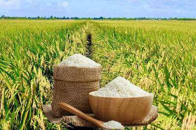 <a href="/tiep-thi" title="Tiếp thị" rel="dofollow">Tiếp thị</a>