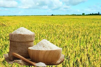 <a href="/tiep-thi" title="Tiếp thị" rel="dofollow">Tiếp thị</a>