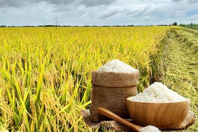 <a href="/tiep-thi" title="Tiếp thị" rel="dofollow">Tiếp thị</a>