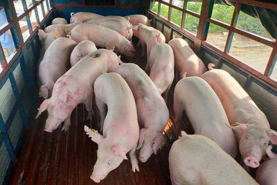 <a href="/tiep-thi" title="Tiếp thị" rel="dofollow">Tiếp thị</a>