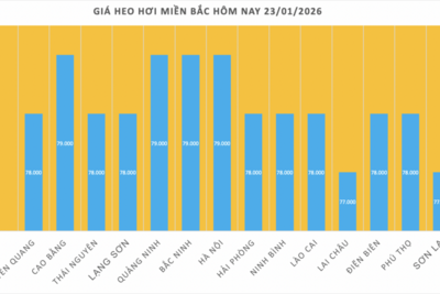<a href="/tiep-thi" title="Tiếp thị" rel="dofollow">Tiếp thị</a>