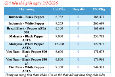 <a href="/tiep-thi" title="Tiếp thị" rel="dofollow">Tiếp thị</a>