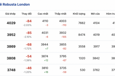 <a href="/tiep-thi" title="Tiếp thị" rel="dofollow">Tiếp thị</a>