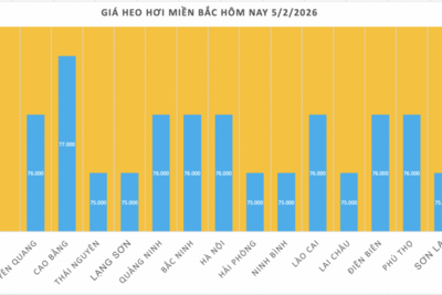 <a href="/tiep-thi" title="Tiếp thị" rel="dofollow">Tiếp thị</a>