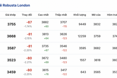 <a href="/tiep-thi" title="Tiếp thị" rel="dofollow">Tiếp thị</a>