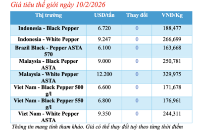 <a href="/tiep-thi" title="Tiếp thị" rel="dofollow">Tiếp thị</a>