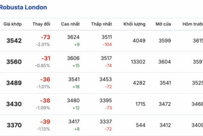 <a href="/tiep-thi" title="Tiếp thị" rel="dofollow">Tiếp thị</a>