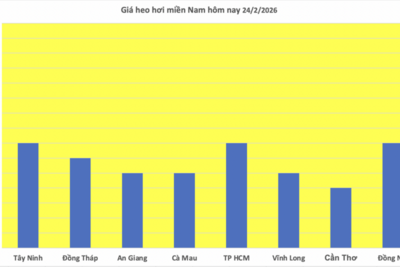 <a href="/tiep-thi" title="Tiếp thị" rel="dofollow">Tiếp thị</a>