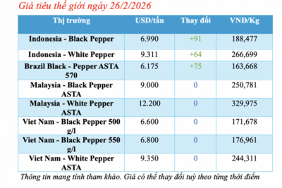 <a href="/tiep-thi" title="Tiếp thị" rel="dofollow">Tiếp thị</a>