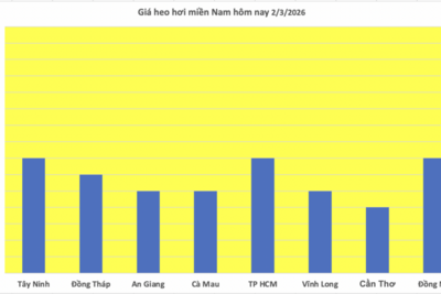 <a href="/tiep-thi" title="Tiếp thị" rel="dofollow">Tiếp thị</a>