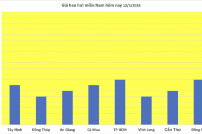 <a href="/tiep-thi" title="Tiếp thị" rel="dofollow">Tiếp thị</a>