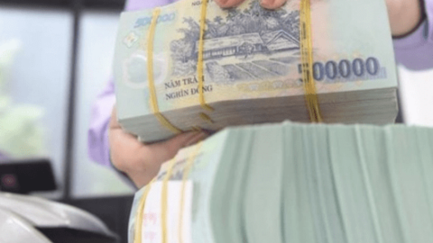 Đấu giá 2 khoản nợ hàng trăm tỷ của công ty Phúc Đạt và Thép Trung Nguyên