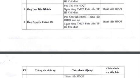 Bà Lê Thị Băng Tâm sắp rời ghế Chủ tịch HDBank