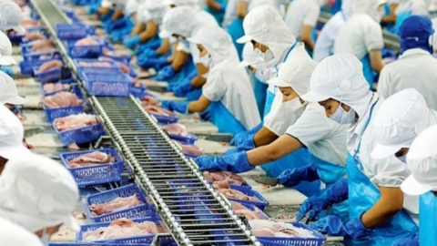 Vĩnh Hoàn (VHC): Lãi quý I tăng hơn 4 lần, hàng tồn kho tăng 34%