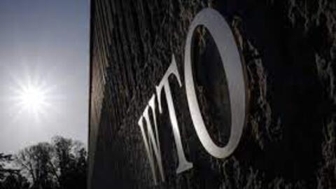 Nga rục rịch rút khỏi WTO và WHO?