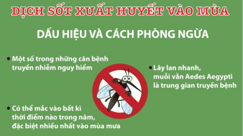 Dịch sốt xuất huyết vào mùa: Dấu hiệu và cách phòng ngừa