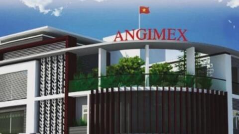 Angimex (AGM) điều chỉnh giảm 64% kế hoạch lợi nhuận, 51% doanh thu