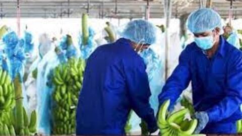 Hoàng Anh Gia Lai: Kiểm toán nghi ngờ đáng kể về khả năng hoạt động liên tục