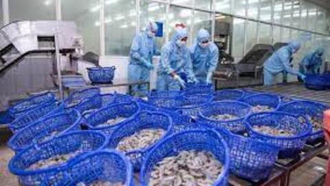 Doanh số Sao Ta (FMC) đạt gần 162 triệu USD sau 8 tháng, tăng 22% so với cùng kỳ