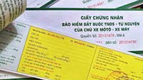 Tăng cường thông tin tuyên truyền về bảo hiểm bắt buộc trách nhiệm dân sự của chủ xe cơ giới