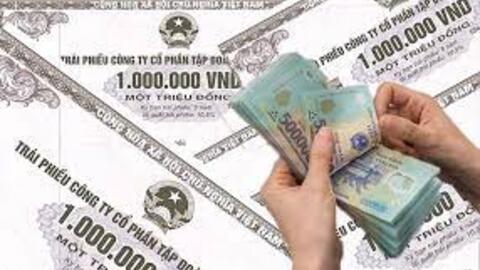 Trách nhiệm chính của tổ chức đấu thầu, bảo lãnh và đại lý phát hành trái phiếu doanh nghiệp