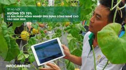 Hà Nội hướng tới 70% là sản phẩm nông nghiệp ứng dụng công nghệ cao vào năm 2025