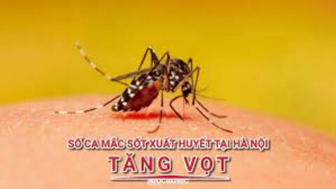 Số ca mắc sốt xuất huyết tại Hà Nội tăng vọt