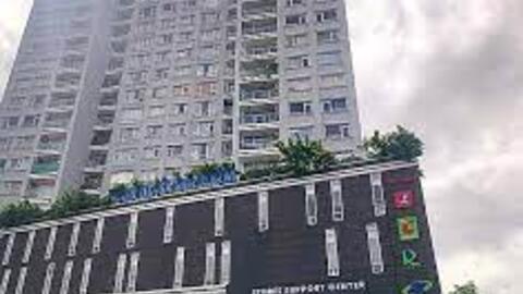 Eximland: Hoạt động tài chính cứu lợi nhuận quý IV, tiền cuối năm chỉ còn 270 triệu đồng