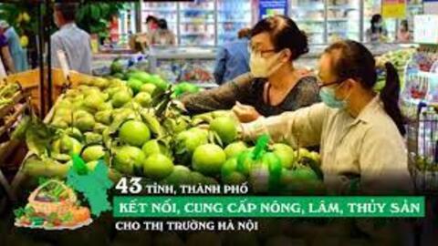 43 tỉnh, thành phố kết nối, cung cấp nông, lâm, thủy sản cho thị trường Hà Nội