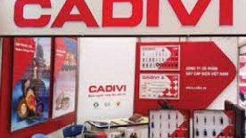 CAV sẽ tạm ứng cổ tức bằng tiền tỷ lệ 20%