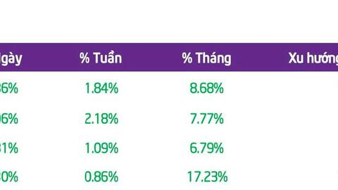 Cẩn trọng bẫy “FOMO” khi thị trường bước vào trạng thái quá mua