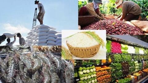 Xuất khẩu nông, lâm, thủy sản đạt hơn 29 tỷ USD trong 7 tháng