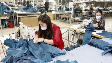 OECD dự báo kinh tế Việt Nam tăng trưởng 4,9% năm 2023