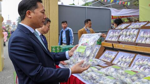 Sức sống mới của ngành Nông nghiệp huyện Mê Linh