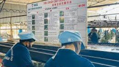 HAG có công ty con mới