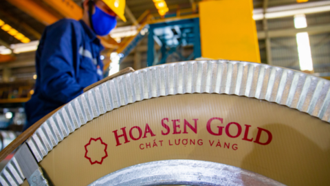 Hoa Sen (HSG) lên kế hoạch IPO một công ty con