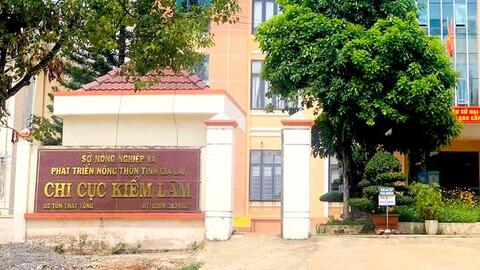 Chi cục Trưởng Chi cục Kiểm lâm tỉnh Gia Lai xin nghỉ hưu trước tuổi