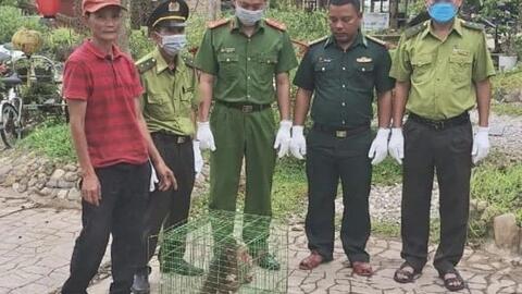 Người dân giao nộp nhiều động vật quý hiếm