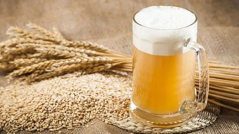 Doanh nghiệp đầu tiên sản xuất malt bia tại Việt Nam báo lỗ năm thứ 4 liên tiếp